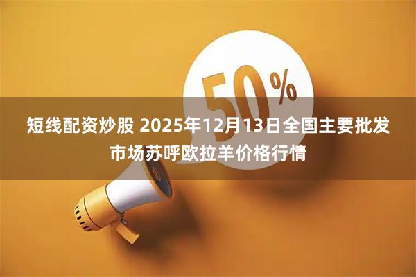 短线配资炒股 2025年12月13日全国主要批发市场苏呼欧拉羊价格行情