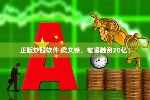 正版炒股软件 梁文锋，被曝融资20亿！